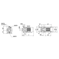 Pompa Saer IR 32-250SB